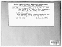Image Associated With the Occurence